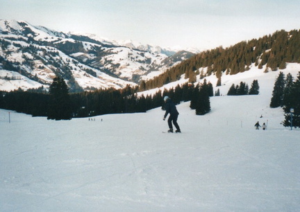 Saanenmöser09