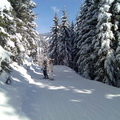 Saalbach-Hinterglemm061
